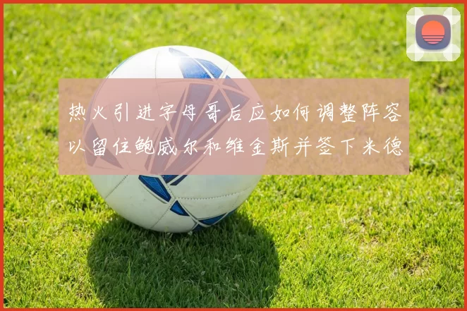 热火引进字母哥后应如何调整阵容以留住鲍威尔和维金斯并签下米德尔顿